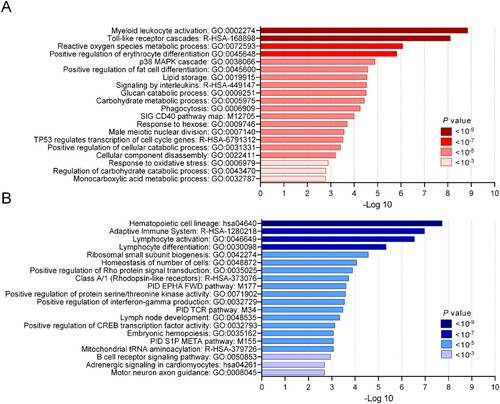 Figure 4. Functional enrichment analysis of DEGs in non-surviving melioidosis patients compared with patients that survived. (A) Top 20 enriched terms of 65 up-regulated genes in non-surviving melioidosis patients. (B) Top 20 enriched terms of 218 down-regulated genes in non-surviving melioidosis. Saturation of color corresponds to P values.