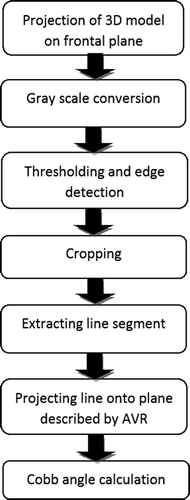 Figure 7. Steps involved in spinal curvature measurement.