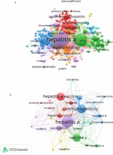 Figure 5. Network visualization of co-occurrence author keywords; (a): HAV research (b): HAV vaccine research