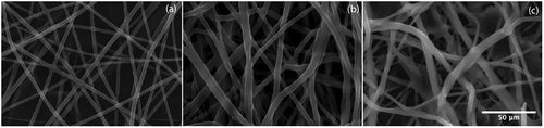 Figure 8. (Colour online) SEM micrographs of filled PVA-PAA composite fibres that were (a) uncrosslinked; (b) crosslinked; and (c) crosslinked and dried after immersion in water. Scale bar 50 µm.