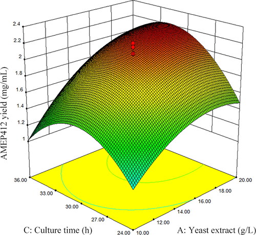 Figure 3. Response surface plot for AMEP412 yield as a function of yeast extract and culture time.