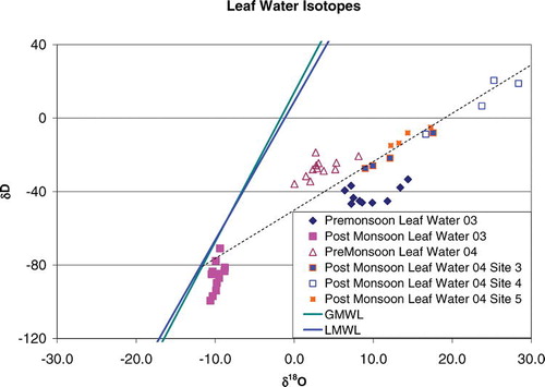FIGURE 3 Oxygen and hydrogen stable isotopic ratios in leaf tissues collected at the Nevado de Colima study area in 2003 and 2004. Also plotted are the Global Meteoric Water Line (GMWL, see Fig. 2), the Local Meteoric Water Line (LMWL, see Fig. 4), and an evaporation profile (dashed line).