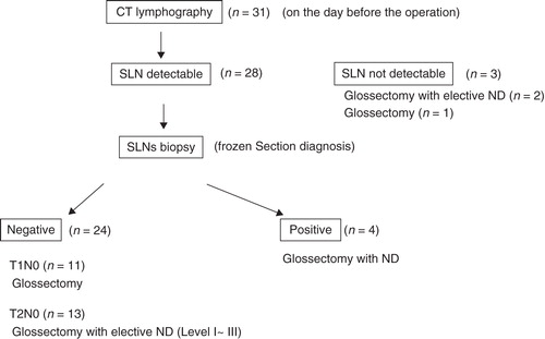 Figure 3. Therapeutic options and patient distribution: 31 patients with T1N0 or T2N0 tongue cancer were enrolled in this study. The day after the CT lymphography, sentinel lymph node (SLN) biopsy using CT lymphographic guidance combined with the blue dye method and glossectomy were performed in the 28 patients having identified SLNs with CT lymphography. When the SLN was negative for metastasis in T1N0 cases, only glossectomy without neck dissection (ND) was performed. For T2N0 cases, primary tumor resection with elective neck dissection (level I–III) was performed regardless of the presence of metastasis in the SLN.