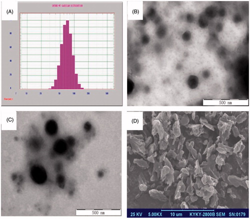 Figure 2. The particle size distribution (A) and TEM images (B) of lutein nanosuspension, TEM (C) and SEM images (D) of lutein nanocrystals.