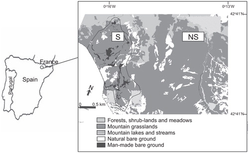 FIGURE 1. Skiing (S) and non-skiing (NS) areas within the study area in Tena Valley, Central Spanish Pyrenees, based on aerial photographs taken in (a) 1981 and (b) 2000. The western boundary of the map is the western limit of Panticosa municipality.