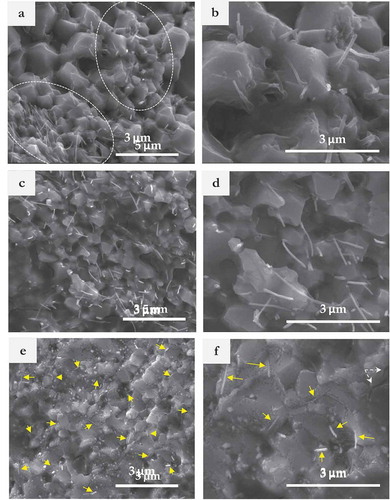 Figure 5. SEM micrographs of the fracture surfaces of SPS-consolidated composites at low and high magnifications: a-b) 8YZ-CNT50, c-d) 8YZ-CNT90 and e-f) 8YZ-CNT130.