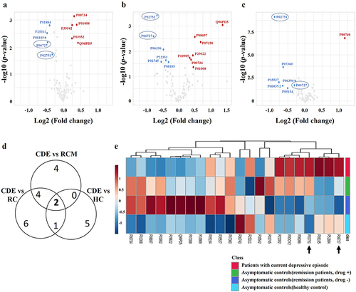 Figure 2 Differentially expressed proteins identified using LC-MS/MS in each group. Volcano plot analysis (a) of patients with a current depressive episode (CDE) and remission controls with medication treatment (RCM), (b) CDE and remission controls with no medication treatment(RC), and (c) CDE and healthy controls (HC). (d) Venn diagram of differentially expressed proteins with significance (p < 0.05). Final candidate proteins are shown in the ellipses. (e) Heatmap clustering analysis of differentially expressed proteins with more than a 1.2-fold change, with statistical significance (p < 0.05) between CDE and at least one control subject (remission or healthy subjects). Final candidate proteins are indicated with the arrows.