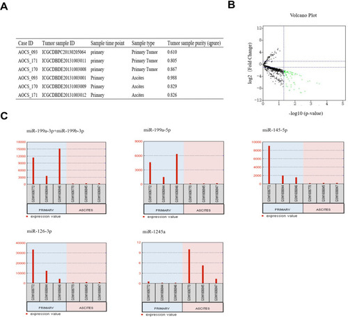 Figure 1 Identification of DE-miRNAs between ovarian cancer primary tumour tissues and ascites-derived tumour cells. (A) Information for the 3 selected HGSOC patients. (B) Volcano plot of the DE-miRNAs. The red and green dots represent the upregulated and downregulated DE-miRNAs in ascites-derived ovarian cancer cells, respectively. The black dots represent miRNAs that were not significantly differentially expressed. (C) The miRNA expression values of miR-199a-3p, miR-199b-3p, miRNA-199a-5p, miR-145-5p, miR-126-3p and miR-1245a in ovarian cancer primary tumour tissues and ascites-derived tumour cells of the 3 selected HGSOC patients.