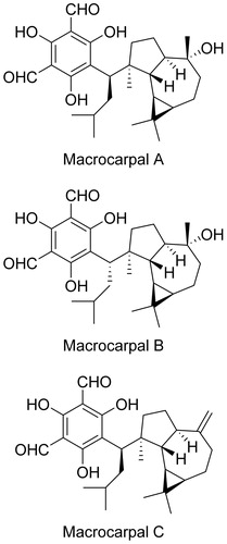 Figure 1. Structure of macrocarpals A–C.