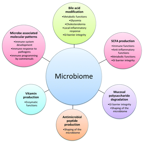 Figure 1. The microbiome is involved in immune, inflammatory, and metabolic functions through numerous pathways.