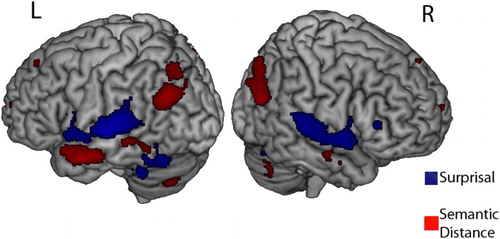 Figure 4. Brain areas that become significantly more active in response to larger surprisal (blue) or semantic distance (red) with a p < .01 voxel-wise significance threshold (i.e. not corrected for multiple comparisons).