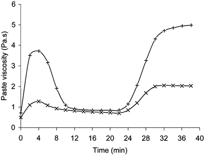 Figure 1.  Paste viscosity of extrudates. Key: +, control; ×, starch extruded with 5% sodium trimetaphosphate.