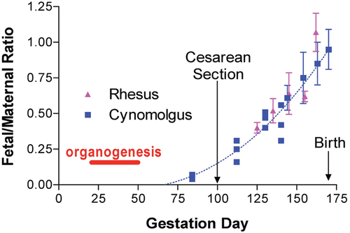 Figure 1.  Fetal/maternal ratio of macaque IgG antibodies. Figure depicts estimated ratios of fetal-to-maternal IgG concentrations throughout gestation in macaques and the relationship of fetal antibody exposure relative to the period of organogenesis. Although fetal IgG exposure is represented as being at or below baseline prior to the second trimester, recent information suggests some IgG may be present during the 1st trimester at levels that could be pharmacologically or toxicologically active (Dybdal, Citation2010; Wang et al., Citation2011). (Reprinted with permission from Martin and Weinbauer, Citation2010).