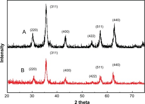 Figure 5 X-ray diffraction results for synthesized nanoparticles. (A) Iron oxide nanoparticles and (B) chitosan-coated iron oxide nanoparticles.