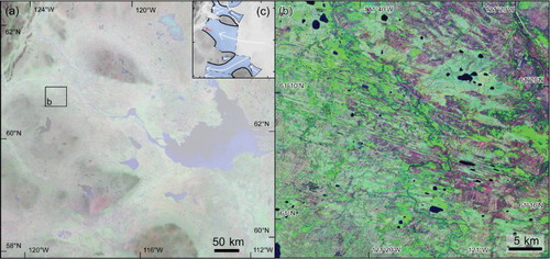 Figure 4. An example of an isolated bedform imprint of the Great Slave Lake Ice Stream. (a) Broad troughs in the north-central portion of the Interior Plains (see Figure 1 for location) seen in a DEM-derived image draped with the Landsat Image Mosaic of Canada. The trough floors are largely devoid of a continuous pattern of glacial lineations. However, isolated patches of extremely well-developed mega-scale glacial lineations occur both on the trough floors – see panel (b), and on the slopes and upper surfaces of the intervening plateaux. Although the glacial troughs define an ice stream configuration in the area (panel c), streamlined terrain on the plateau surfaces (mapped as ice stream fragments) indicates a stage of fast ice flow that was not controlled by topography.