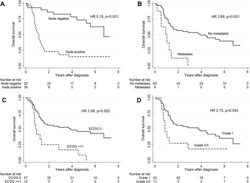 Figure 1 Survival according to prognostic factors.