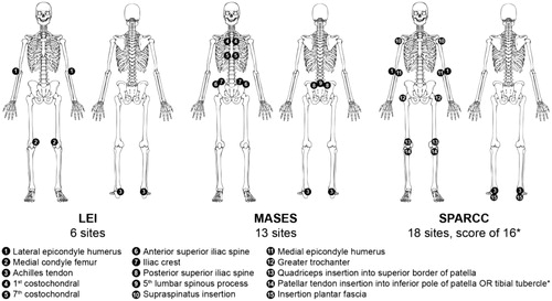 Figure 1. Enthesitis sites evaluated by clinical assessment instruments. LEI: Leeds Enthesitis Index; MASES: Maastricht Ankylosing Spondylitis Enthesitis Score; SPARCC: Spondyloarthritis Research Consortium of Canada. *For scoring purposes, the inferior patella and tibial tuberosity are considered one site because of their anatomical proximity. Image from Mease 2017 (Citation178).