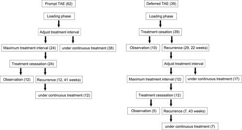 Figure 2 Summary of the treatment course using two treat-and-extend (TAE) regimens. The numbers of eyes are shown in parentheses. Regarding eyes with post-cessation recurrences, the median treatment-free periods between treatment cessation and recurrences are shown in parentheses next to the number of eyes. Among 62 eyes treated with the prompt TAE regimen, 24 (39.3%) eyes achieved treatment cessation. Among them, 12 (50.0%) eyes were treatment-free at the last visit, with a median treatment-free period of 53 weeks. Twelve (50.0%) eyes had recurrences after a median treatment-free period of 41 weeks. Among the 39 eyes treated with the deferred TAE regimen, 10 (25.6%) eyes lacked additional injections after the three loading injections until the last visit, with a median treatment-free period of 165 weeks. Twelve (30.7%) eyes reached treatment cessation after TAE following recurrence. Among them, 5 eyes were under treatment cessation at the last visit, with a median treatment-free period of 166 weeks.