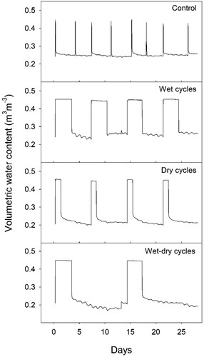 Figure 1. Logged soil volumetric water content at a depth of 30 cm in one soil column per hydrological regime, over a period of two 14-day cycles.