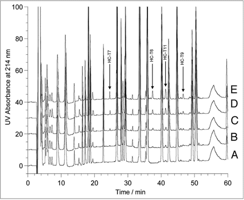 Figure 2 Partial region of the tryptic peptide maps of the model samples (3 to 60 minutes). (A) rhumAb A as the control; (B) 0.5% rhumAb HER2 in rhumAb A; (C) 1% rhumAb HER2 in rhumAb A; (D) 3% rhumAb HER2 in rhumAb A; and (E) 5% rhumAb HER2 in rhumAb A.