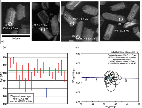Figure 7. (a) Representative cathodoluminescence images of analysed zircon grains, (b) age distribution plot, and (c) U–Pb concordia diagram for LA – ICP–MS measurements of sample 17101301B. Analysis spots in (a) are marked with white circles and labelled with the spot number from Table 2 and corresponding age. Data in blue in (b) was rejected as a statistical outlier by Isoplot. The errors on the ages are 1σ. 207Pb* and 206Pb* in panel (c) indicate radiometric 207Pb and 206Pb, respectively. Light-blue ellipse denotes concordia age.