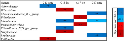 Figure 5. Correlations between odd-branched chain fatty acids and Genera in microbiota from rumen liquor fermented with the control feed without olive oil pomace (CONP) or the treated feed with olive oil pomace (OOPF). Positive correlation is indicated in red and negative correlation is indicated in blue (* for -0.5 < p < 0.5; ** for P < -0.5 and p > 0.5). Only Genera with a relative abundance > 0.1% were correlated.