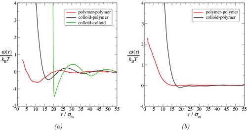 Figure 8. Potentials of mean force, ω(r), extracted from the radial distribution functions displayed in Figure 7 for the colloid–polymer system with a size ratio of σc/σm = 20 and polymer length m p = 100 at the reduced pressure P* = 10. The potentials relating to the colloid-rich phase are given in (a), while those relating to the polymer-rich phase are given in (b). The continuous green curves represent the colloid–colloid ωcc(r), the black curves represent the colloid–polymer ωcp(r), and the red curves represent the polymer–polymer ωpp(r). Note that the statistics are too poor to extract ωcc(r) for the polymer-rich phase.