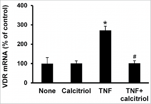 Figure 5. Calcitriol inhibits the upregulation of VDR by TNF. HaCaT cells were treated with calcitriol (100 nM) for 24 h and then incubated with TNF (10 ng/mL) in the presence of calcitriol for 24h. mRNA levels of VDR were quantified by real-time PCR and normalized to RPLP0 mRNA levels. Data are presented as mean ± SD of four independent cultures. The significance of the difference between groups was assessed by unpaired Student's t-test: cultures treated vs non-treated with TNF (*, P < 0.01); cultures treated vs non-treated with calcitriol (#, P < 0.001).