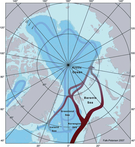 Figure 2.  The current system of the Arctic Seas.