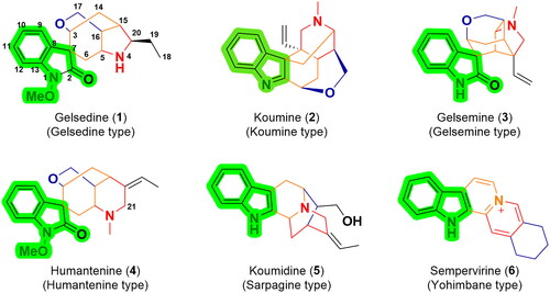 Figure 1. Six representative members of gelsemium MIAs. Gelsemium MIAs can be classified into six categories: gelsedine-, koumine-, gelsemine-, humantenine-, sarpagine-, and yohimbane-type. Gelsemine-type, humantenine-type and gelsedine-type alkaloids bear peculiar spiro-indolinone nuclei, while koumine-, sarpagine- and yohimbane-type alkaloids have normal indole groups.