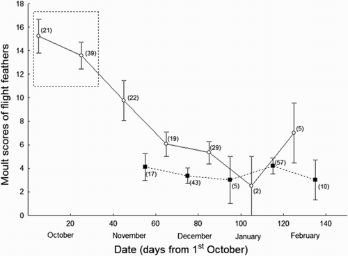 Figure 2. Graph showing changes across time in Moult scores of flight feathers of 269 juvenile Common Chiffchaffs wintering in two distant localities of the Iberian Peninsula (Málaga in the south, Barcelona in the north). Empty circles correspond to individuals from Málaga, while filled squares correspond to individuals from Barcelona. Mean values and standard errors are provided. Sample sizes for each point are shown within brackets. Within the square are highlighted the earliest migrants that could reach southern localities across the season. It is probable that these individuals came from the Iberian Peninsula.