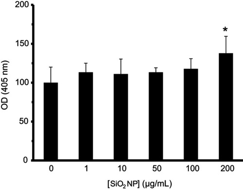 Figure 15 SiO2 NPs at concentration of 200 μg/mL activate caspase-3 in hMSCs. hMSCs cells were incubated with varying concentrations of SiO2 NPs for 24 hrs before the caspase-3 activity was assessed. *P<0.05 compared to control group.