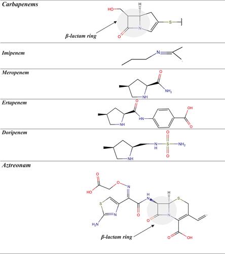 Figure 3 Chemical structures of carbapenems and aztreonam.