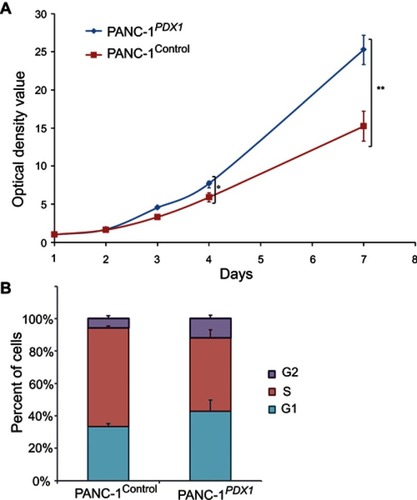 Figure 2 Effects of PDX1 overexpression on PANC-1 cell proliferation. (A) Growth curves of cells were plotted after transfection with indicated vectors by MTT assays. The OD value of cells in the control group was lower than that of PANC-1PDX1+ cells. *P<0.05, **P<0.01 compared with control group (B) Flow cytometry results showed that the number of cells in the S stage of PANC-1PDX1+ was significantly lower than of PANC1Control, whereas the number of cells in the G1 and G2 stages of PANC-1PDX1+ cells was higher than that of PANC1.Control