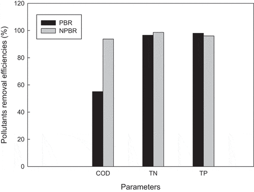 Figure 4. Pollutants removal efficiencies of Chlorella sorokiniana CY-1 cultivated in glass-made vessel PBR and novel PBR