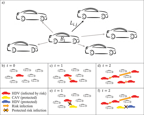 Figure 2. Demonstration of risk transmission and herd immunity in traffic.a) interaction between vehicles, b-d) transmission of risk with only HDVs, e-f) transmission of risk in mixed traffic showing the benefits of herd immunity
