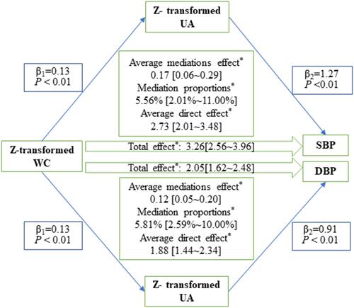 Figure 4 A schematic illustration of the causal mediating effect of serum uric acid on the association between baseline WC and follow-up blood pressures, adjusting for age, sex, education level, cigarette smoking, alcohol consumption, fasting glucose, high-density lipoprotein, and low-density lipoprotein. *P<0.05.