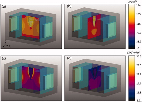 Figure 4. (a, b) Computed RF current density and (c, d) SAR. Left images are on the y = 0 plane and right images are on the z = 0 plane.