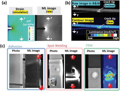 Figure 2. Properties and applications of mechanoluminescence (ML): (a) Comparison of simulation and ML image; (b) Raw and contour ML images during DCB test; (c) ML images during tensile test at various joints.