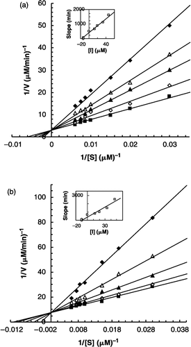 Figure 4 Double reciprocal Lineweaver-Burk plots of MT kinetic assays for catecholase reactions of caffeic acid in 10 mM phosphate buffer, pH = 6.8, at two temperatures of 20°C (a) and 30°C (b) and 11.8 μM enzyme concentration, in the presence of different fixed concentrations of benzenethiol: 0 μM (▪), 13.33 μM (⋄), 20.00 μM (▴), 33.33 μM (Δ), 46.67 μM (♦).