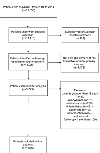 Figure 1 The flow diagram of the patient selection.Abbreviation: NSCLC, non-small-cell lung cancer.