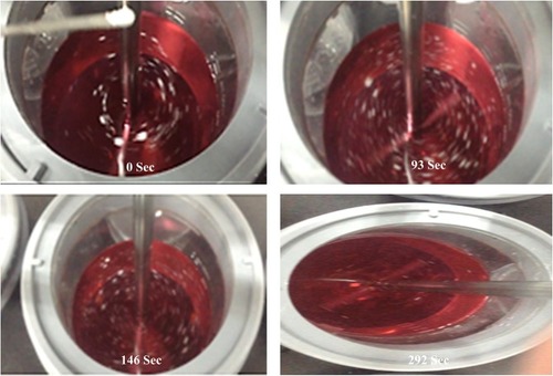 Figure 5 Photographs taken before and during in vitro wetting and floating studies of (GR/CHL)-loaded SXN4 showing the wetting time in 0.1 N HCl at 37 ± 0.5°C.