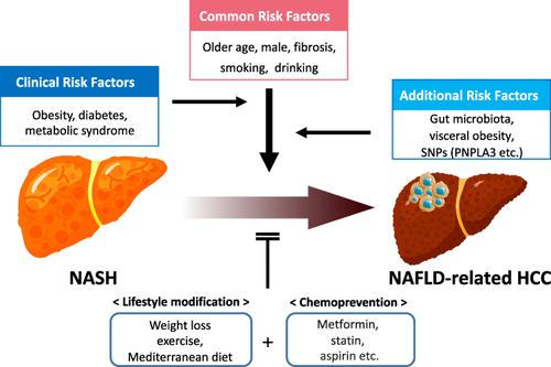 Figure 3 Risk factors and prevention for HCC development in patients with NAFLD.