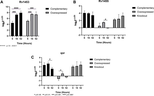 Figure 3 Relative expression levels of Rv1453 gene (A) and its adjacent genes (B and C) in the recombinant strains under the action of clofazimine. M: protein marker, Lane 1: pET30a flowthrough, Lane 2: pET30a + Rv1453 flowthrough, Lane 3: pET30a wash, Lane 4: pET30a + Rv1453 wash, Lane 5: pET30a eluate, Lane 6: pET30a + Rv1453 eluate (nondenaturing), Lane 7: pET30a + Rv1453 eluate 1 (denatured), Lane 8: pET30a + Rv1453 eluate 2 (denatured), and Lane 9: pET30a + Rv1453 eluate 3 (denatured).