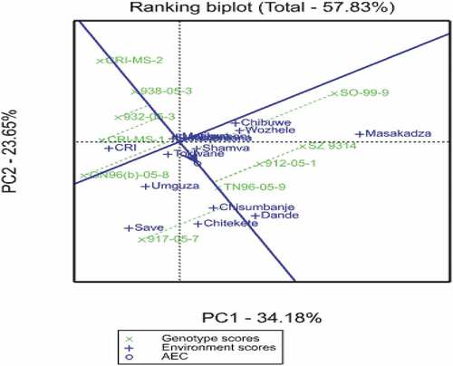 Figure 2. Ranking biplot showing the ideal genotype for different cotton genotypes.