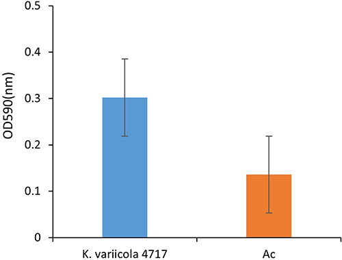 Figure 1 Biofilm formation analysis of K. variicola 4717. Ac, the negative control.