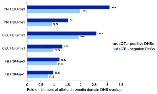 Figure 4. dsQTL–positive DNase peaks preferentially overlap allelic chromatin domains Enrichment of DHS peaks in H3K4me1 and H3K4me3 allelic-chromatin domains from each of the 3 populations (CEU, FB and YRI). Dark blue indicates dsQTL positive DHS peak overlap, and light blue indicates dsQTL negative DHS peaks overlap. n.s = P > 0.05, ** = P < 0.001, *** = P < 10E-5.