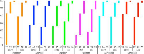 Figure 1 The genotype distributions of candidate SNPs between lung cancer cases and healthy controls.