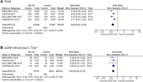 Figure 3 Meta-analysis results of the composite renal endpoints of EMPA-REG outcome, CANVAS, DECLARE-TIMI 58 and CREDENCE. The composite renal endpoints were significantly suppressed by SGLT2 inhibitors, regardless of baseline renal function. These meta-analyses were performed using RevMan 5 software (Cochrane, London, UK). The analyses were performed regardless of renal function (A) and limited to eGFR ≤60 mil/min/1.73 m2 (B). The results show that renal composite endpoints are significantly suppressed, regardless of baseline renal function or if eGFR is limited <60 mL/min/1.73 m2.