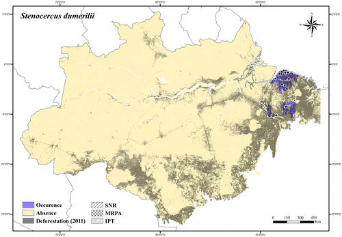 Figure 120. Occurrence area and records of Stenocercus dumerilii in the Brazilian Amazonia, showing the overlap with protected and deforested areas.